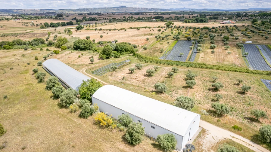 Quinta T0 para Venda em Ladoeiro