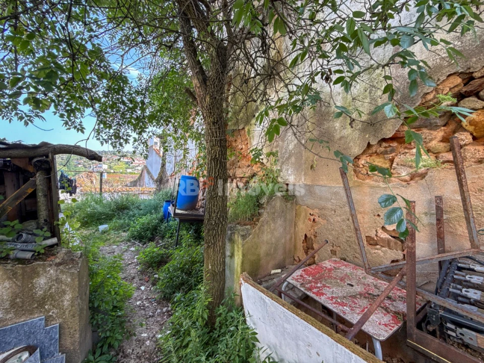 Terreno para Venda em Tancos Foto 6