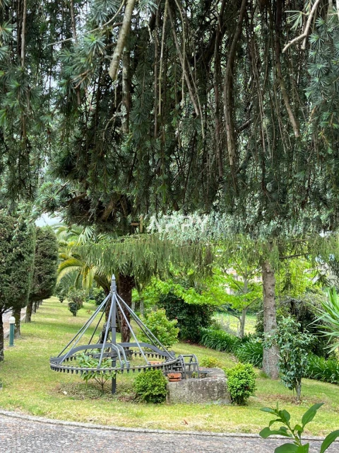 Quinta T6 para Venda em Termas de São Vicente