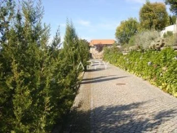 Quinta T3 para Venda em Termas de São Vicente