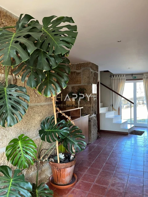 Quinta T3 para Venda em Termas de São Vicente