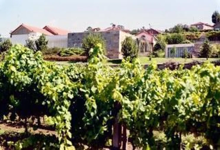 Quinta T3 para Venda em Termas de São Vicente Foto 14