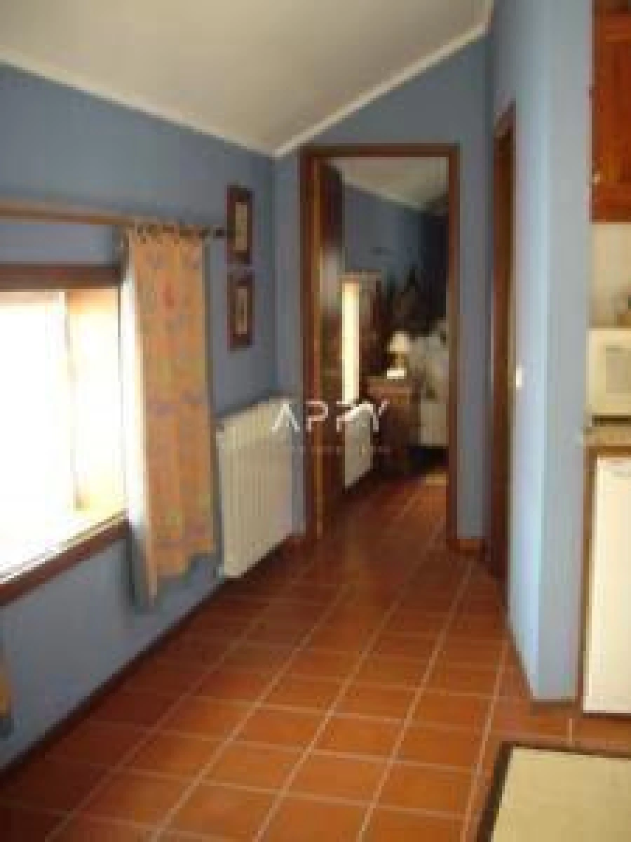 Quinta T3 para Venda em Termas de São Vicente Foto 3