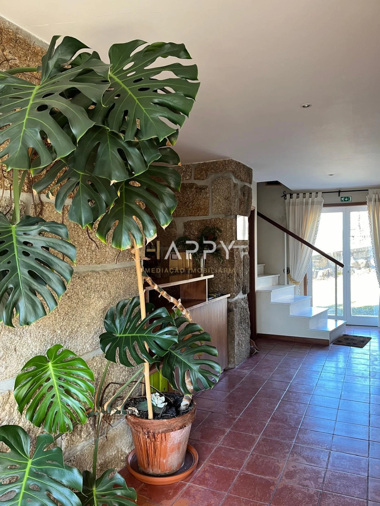 Quinta T3 para Venda em Termas de São Vicente Foto 15