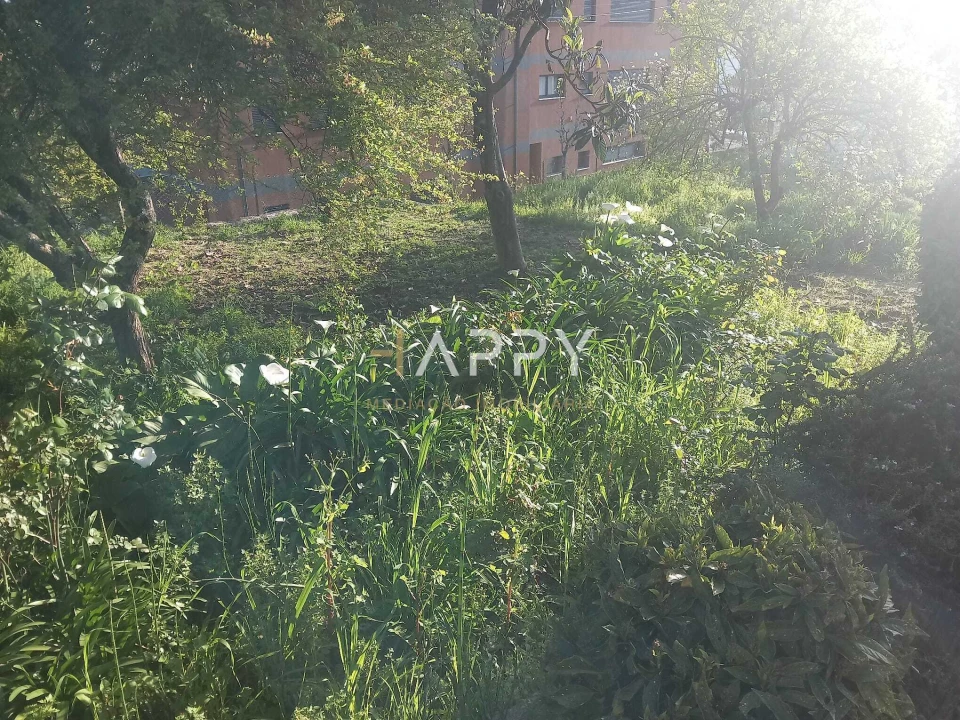 Moradia T3 para Venda em Termas de São Vicente Foto 15