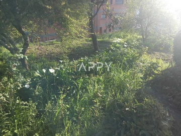 Moradia T3 para Venda em Termas de São Vicente