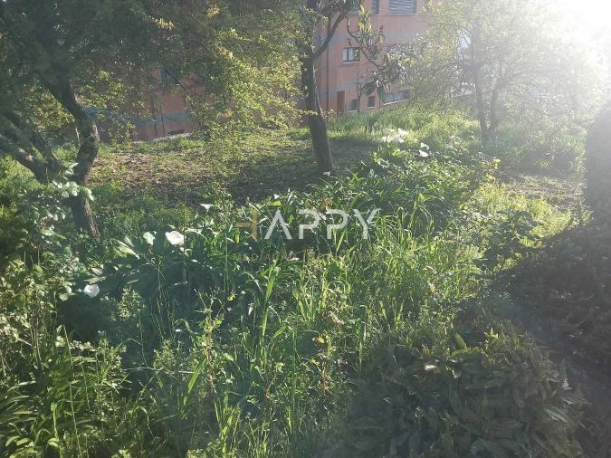 Moradia T3 para Venda em Termas de São Vicente Foto 15