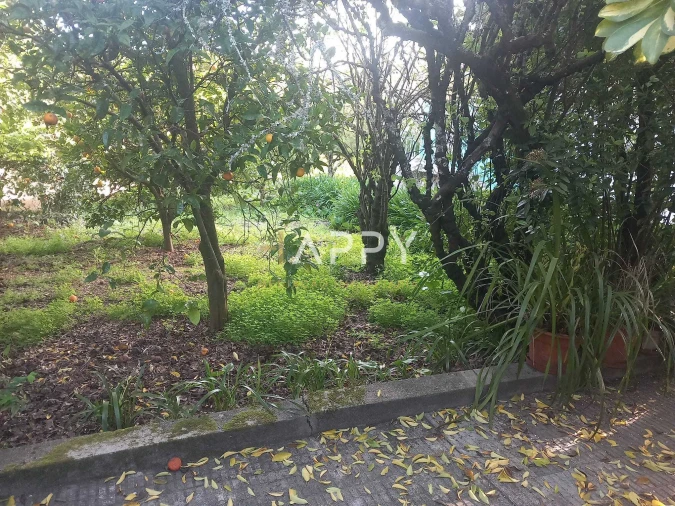 Moradia T3 para Venda em Termas de São Vicente Foto 8