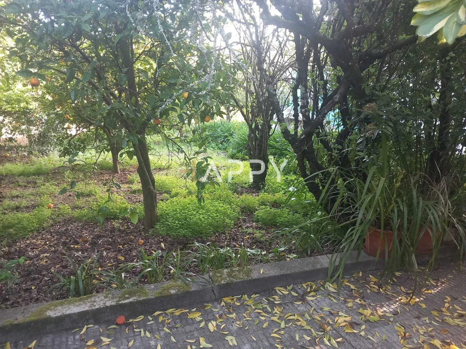 Moradia T3 para Venda em Termas de São Vicente Foto 8