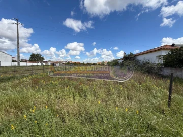 Terreno para Venda em Marinhais