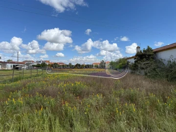 Terreno para Venda em Marinhais