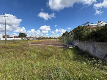 Terreno para Venda em Marinhais