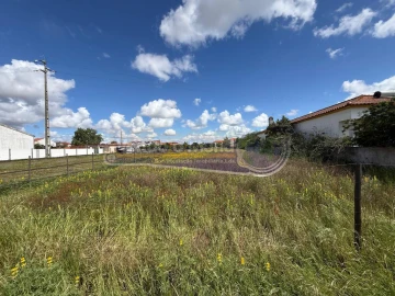Terreno para Venda em Marinhais