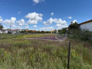 Terreno para Venda em Marinhais