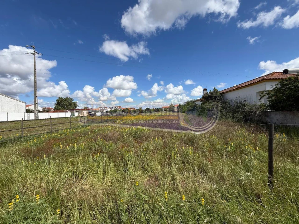 Terreno para Venda em Marinhais Foto 5