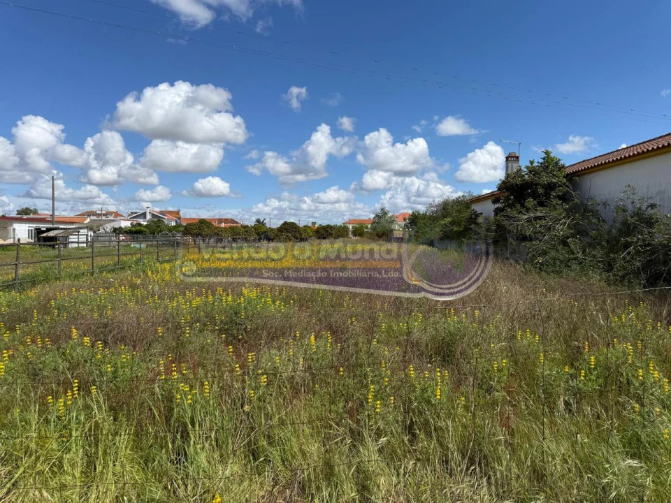 Terreno para Venda em Marinhais Foto 8