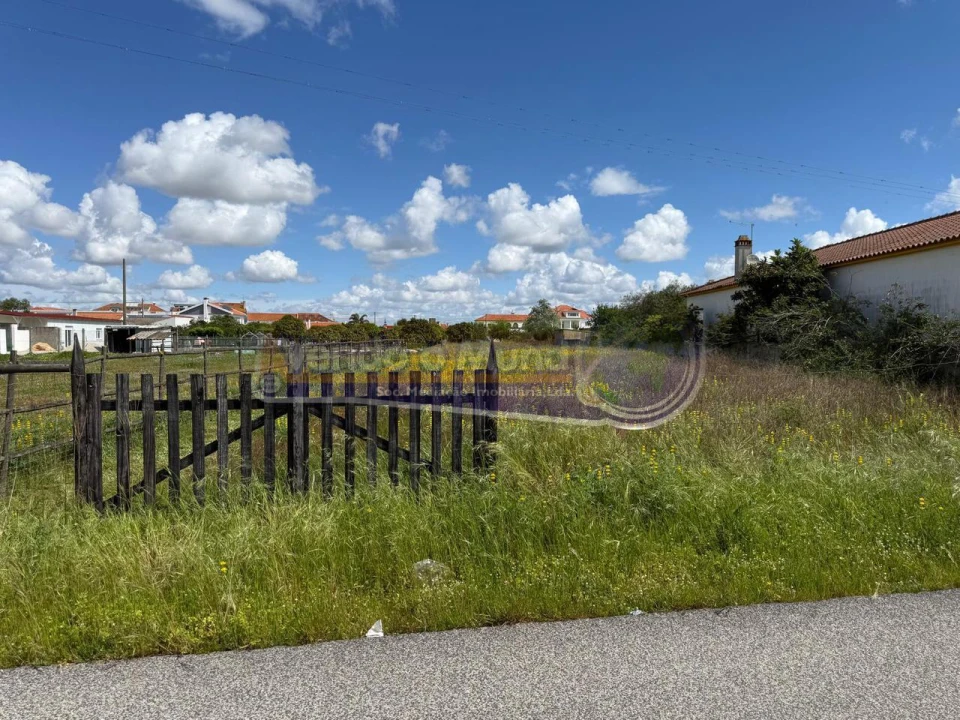Terreno para Venda em Marinhais Foto 9