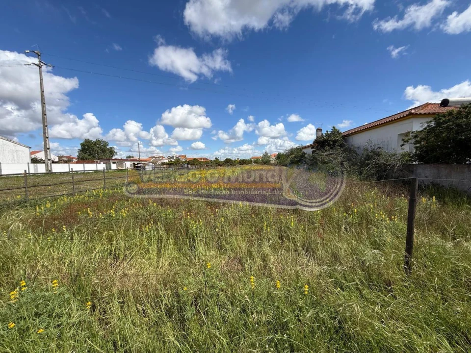 Terreno para Venda em Marinhais Foto 6