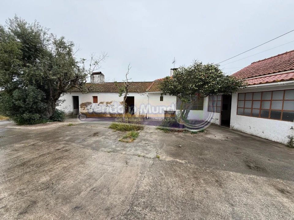 Moradia T3 para Venda em Marinhais Foto 3