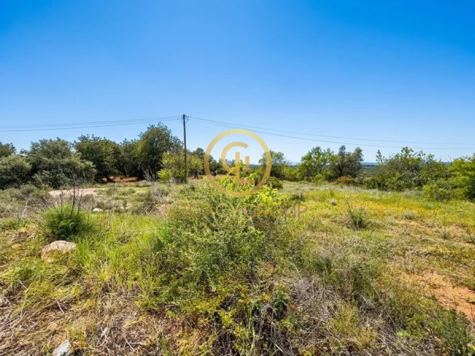Terreno para Venda em Tavira (Santa Maria e Santiago) Foto 5