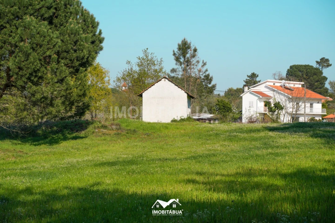 Terreno Agricola ou Rústico para Venda em Candosa Foto 8