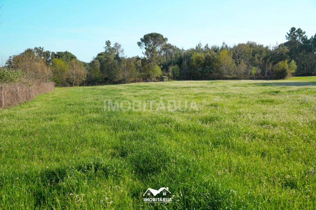 Terreno Agricola ou Rústico para Venda em Candosa Foto 3