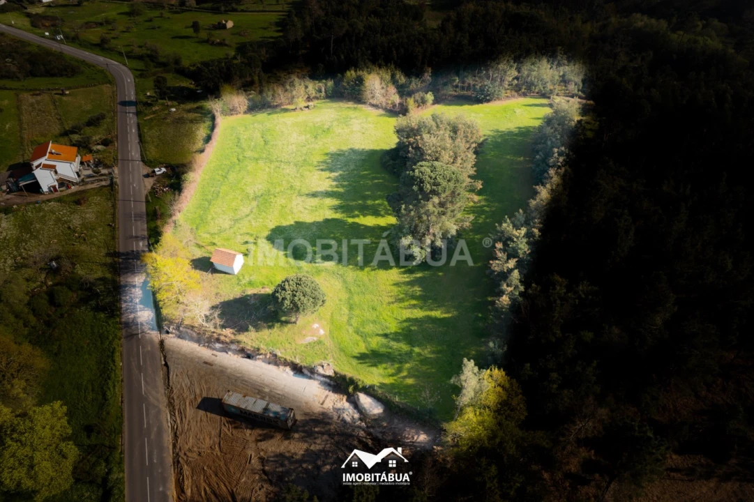 Terreno Agricola ou Rústico para Venda em Candosa Foto 15