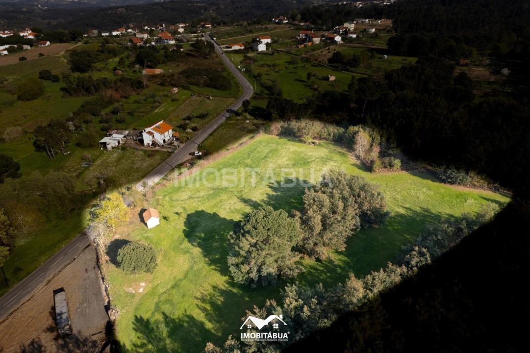 Terreno Agricola ou Rústico para Venda em Candosa Foto 1