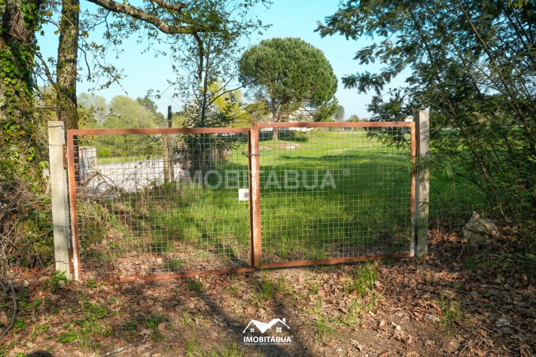 Terreno Agricola ou Rústico para Venda em Candosa Foto 14