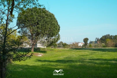 Terreno Agricola ou Rústico para Venda em Candosa