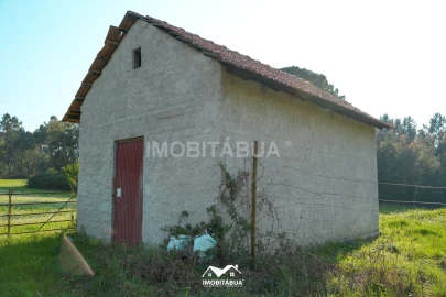 Terreno Agricola ou Rústico para Venda em Candosa