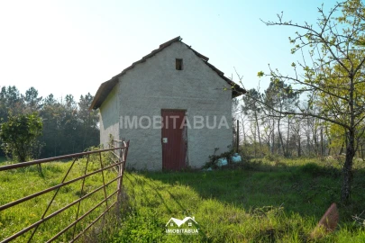 Terreno Agricola ou Rústico para Venda em Candosa