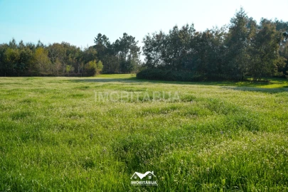 Terreno Agricola ou Rústico para Venda em Candosa
