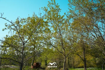 Terreno Agricola ou Rústico para Venda em Candosa