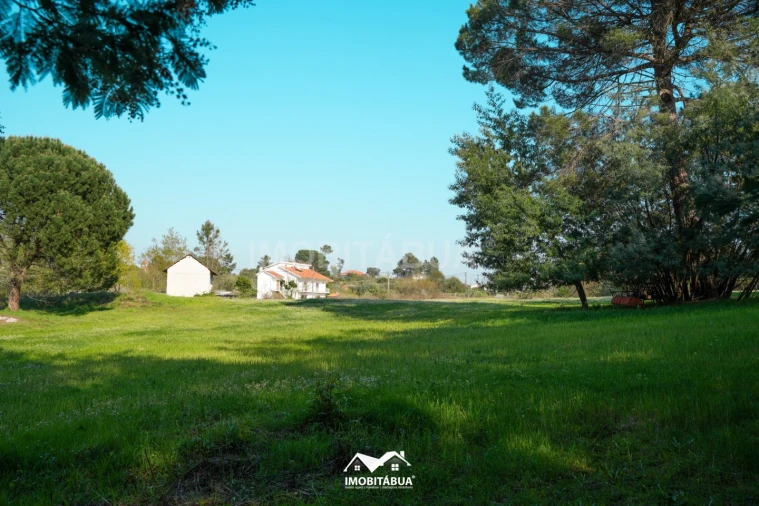 Terreno Agricola ou Rústico para Venda em Candosa Foto 7