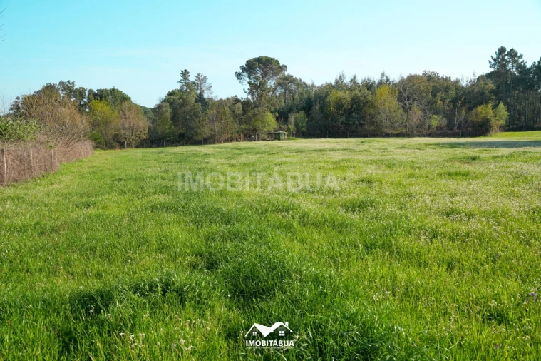 Terreno Agricola ou Rústico para Venda em Candosa Foto 3