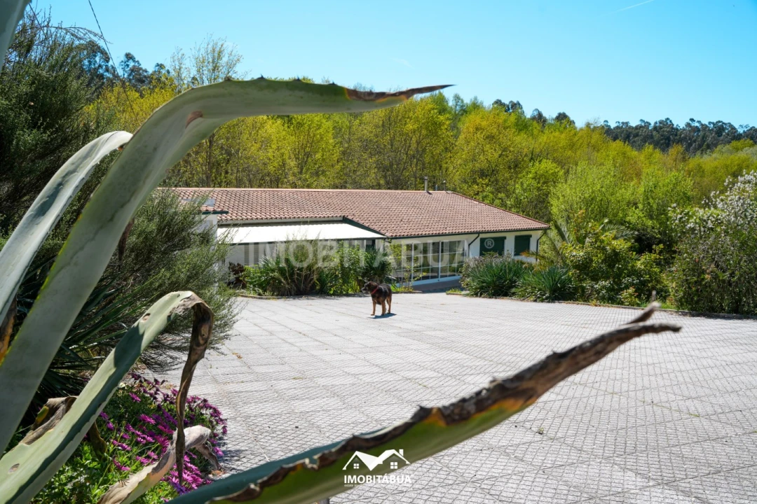 Moradia T3 para Venda em Tabua Foto 29