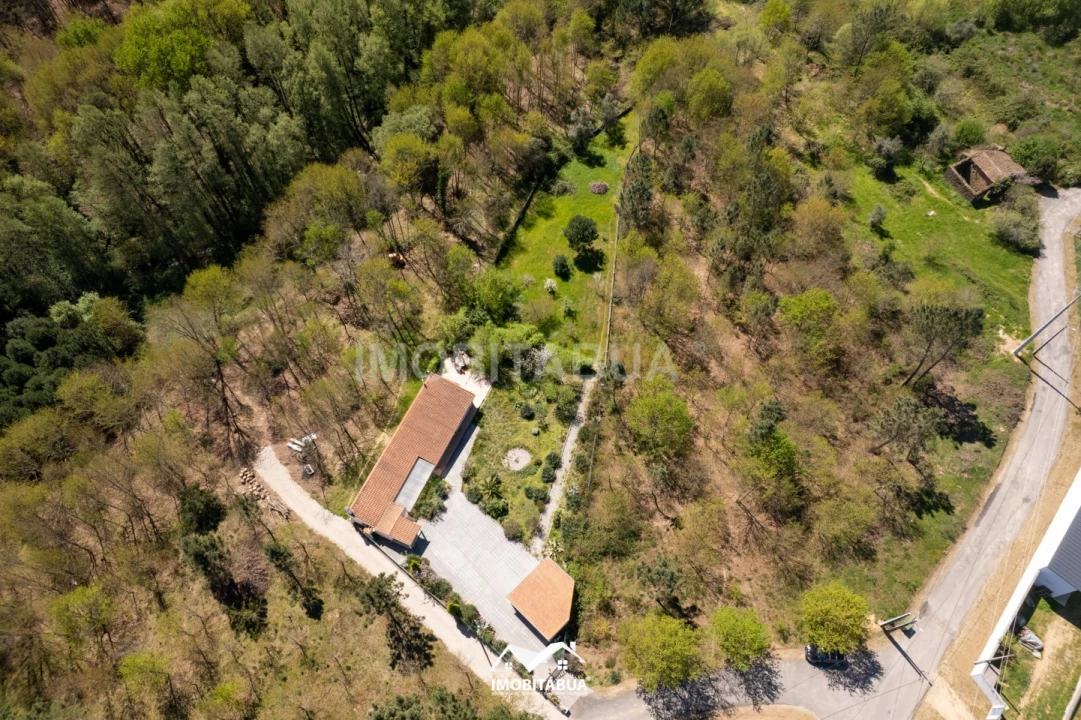 Moradia T3 para Venda em Tabua Foto 35