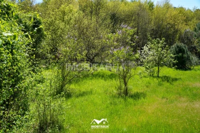 Moradia T3 para Venda em Tabua