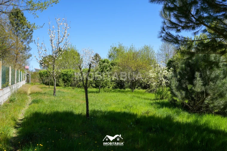 Moradia T3 para Venda em Tabua Foto 26