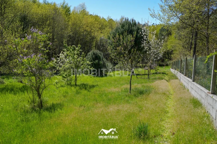 Moradia T3 para Venda em Tabua Foto 27