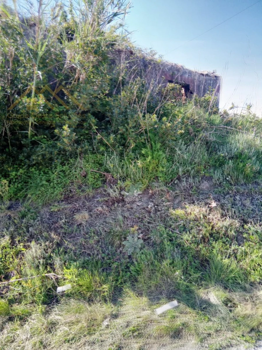 Moradia para Venda em Santa Maria, São Pedro e Sobral da Lagoa Foto 3