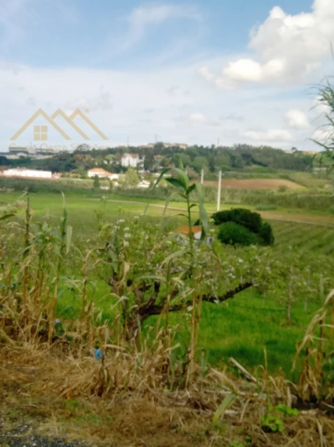 Terreno para Venda em Lourinhã e Atalaia