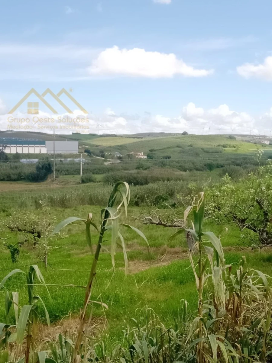 Terreno para Venda em Lourinhã e Atalaia Foto 2