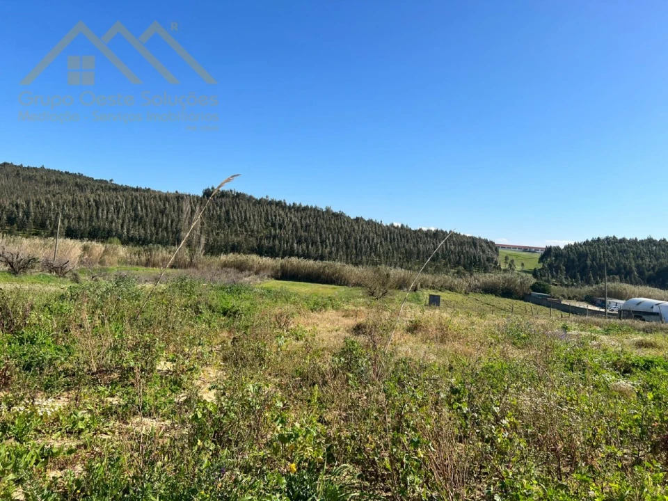 Terreno para Venda em Lourinhã e Atalaia Foto 2