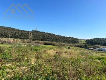 Terreno para Venda em Lourinhã e Atalaia