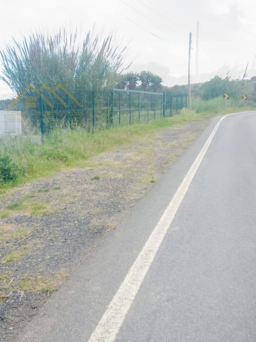 Terreno para Venda em Lourinhã e Atalaia Foto 3