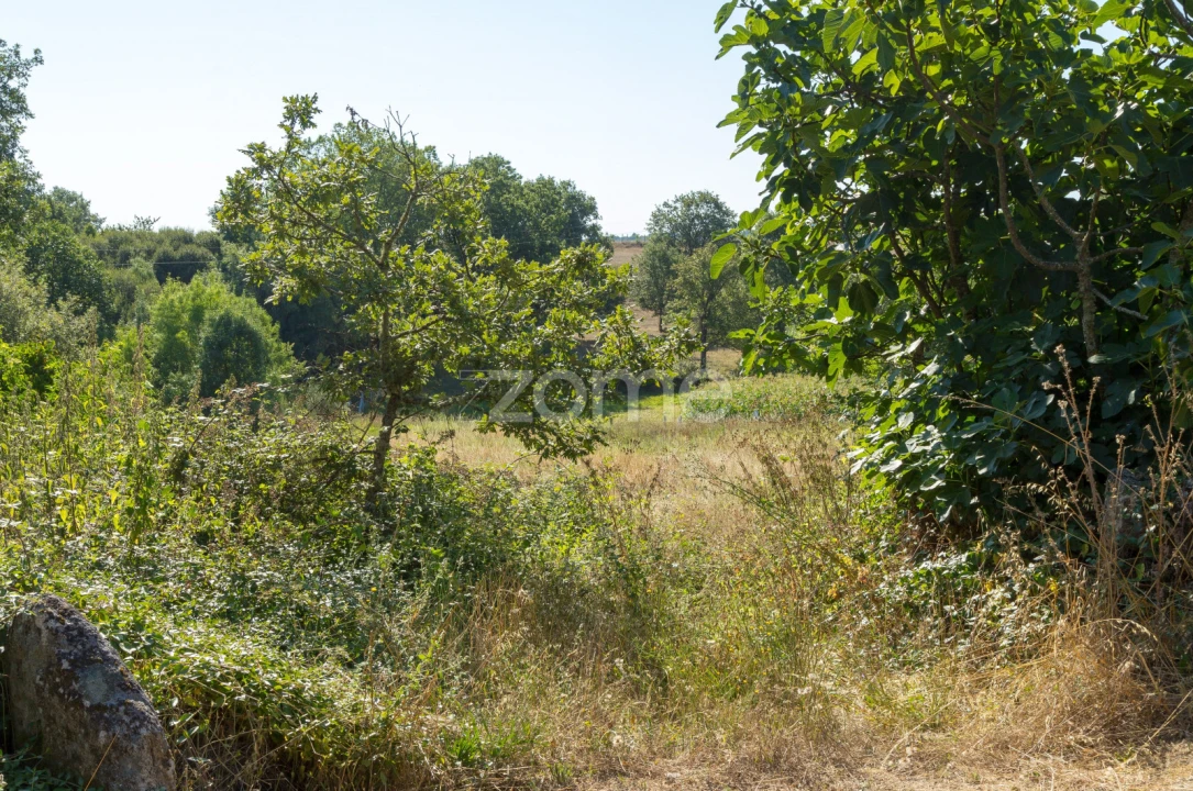 Terreno para Venda em Codesseiro Foto 25