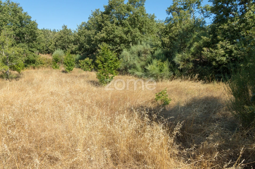 Terreno para Venda em Codesseiro Foto 35