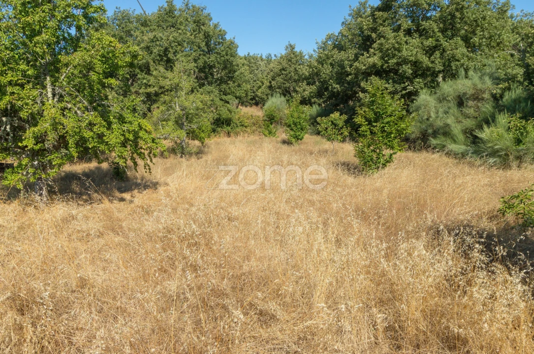 Terreno para Venda em Codesseiro Foto 36